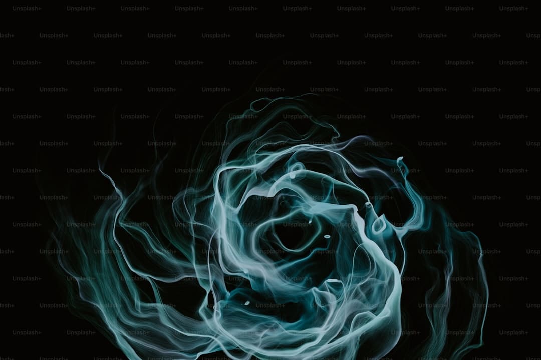 白玫瑰第二季 观众热切期盼续集